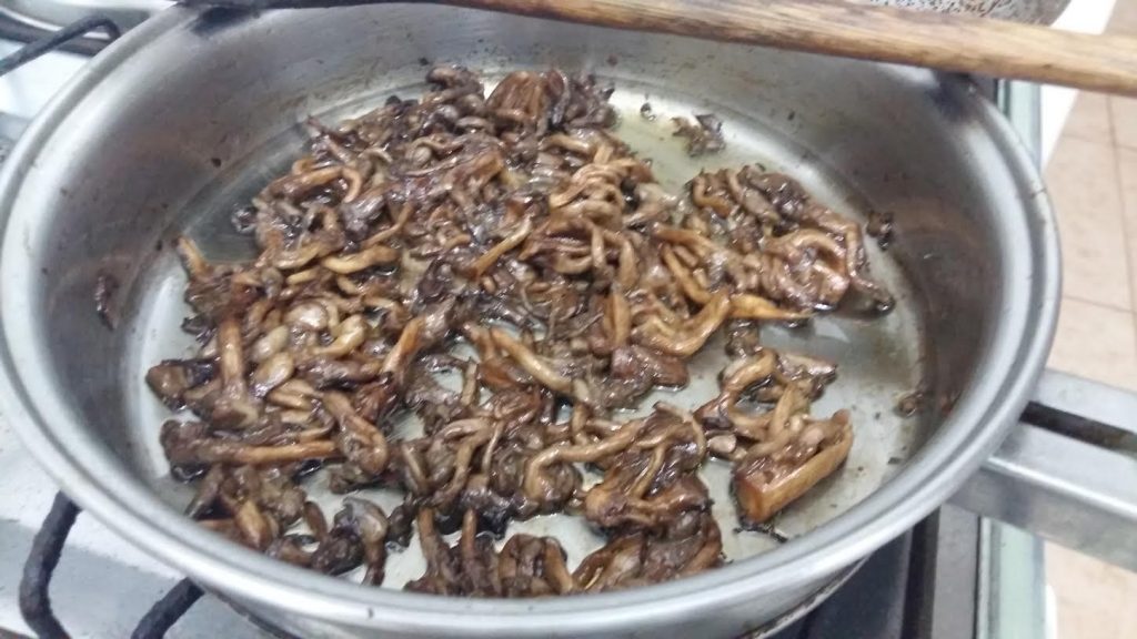 Shimeji no Azeite Receitinha